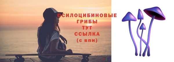 бошки Арсеньев