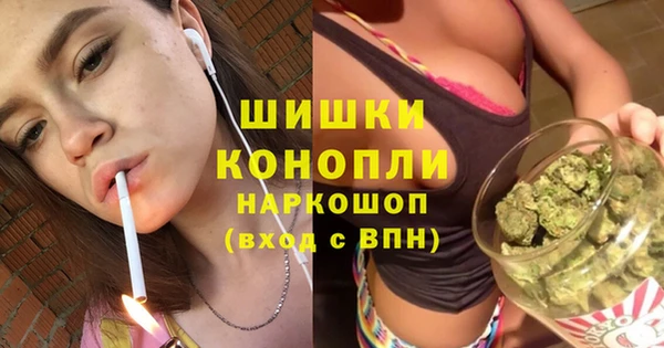 бошки Арсеньев