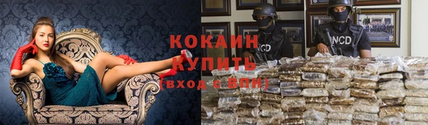 бошки Арсеньев